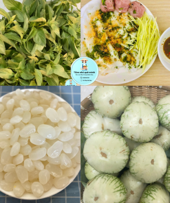 SẠP RAU CỦ QUẢ QUÊ NINH HÒA