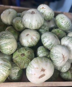 Cà dĩa ( cà bát) 1000g